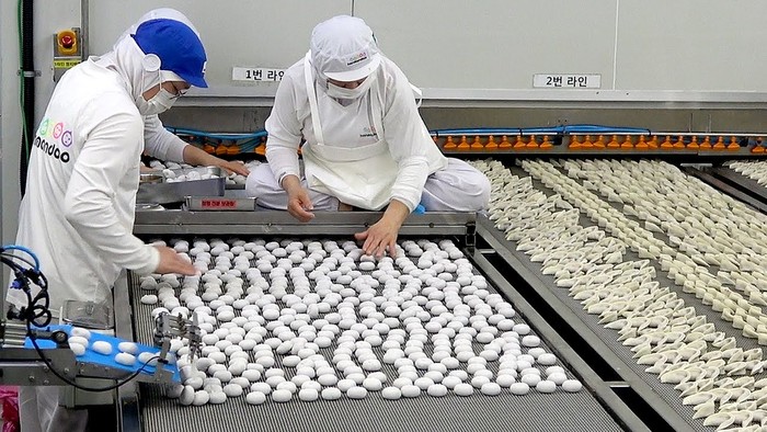 Intip Proses Pembuatan Pangsit di Pabrik, Netizen Geli Mau Makan
